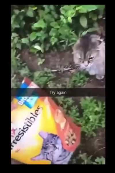 Meow Mix...