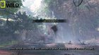 National Geographic Documentary - The Savage DevilJho