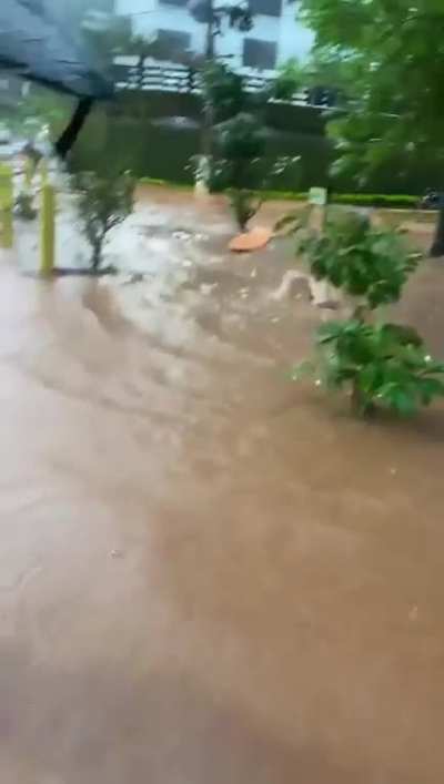 flooding is fun