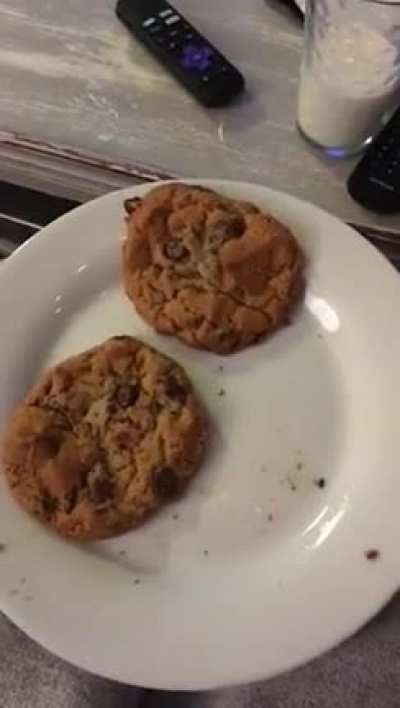 Fresh baked cookies!