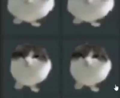 moldee