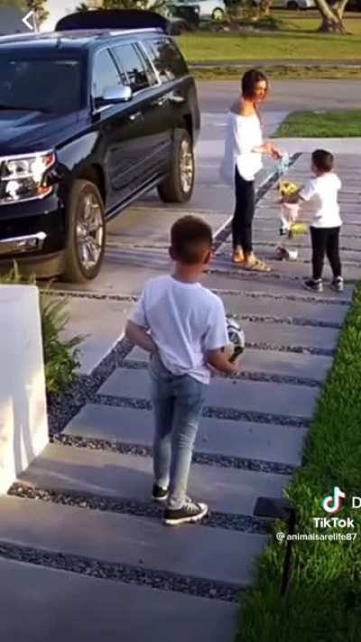 Gender Reveal Fail