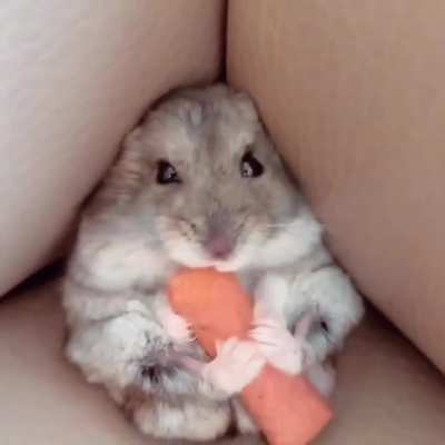 So Cute....