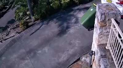 WCGW trying to save effort by towing the garbage bin up the inclined driveway