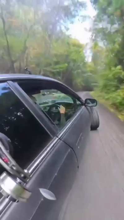 Downhill Run