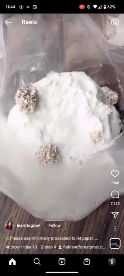 Maybe maybe maybe