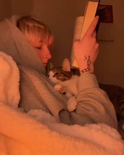 Purrfection