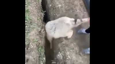 Don't you dare fuck up on the same sh*t again