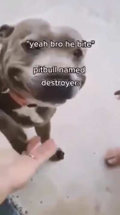 Wow 