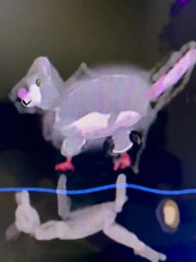 My daughter’s animation of our rat Pooping.