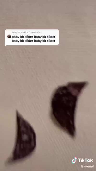 baby kk slider