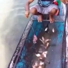 Piranha fishing