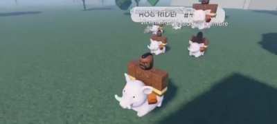 hog riders