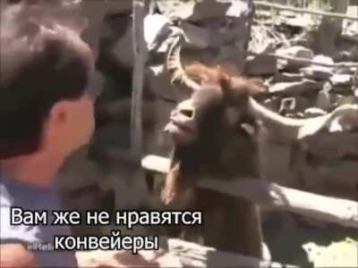 После презентации PS5