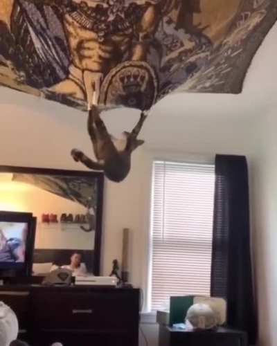 MEOW_IRL