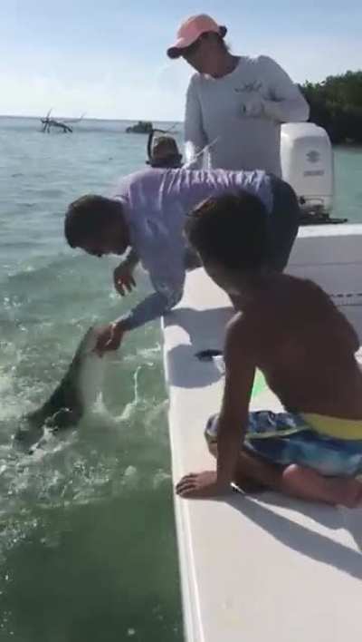 Don't play with sharks