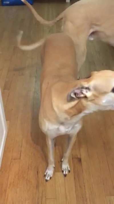 A message for all of the longboye moms out there.