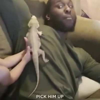 Pick him up