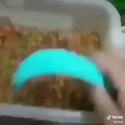 Why