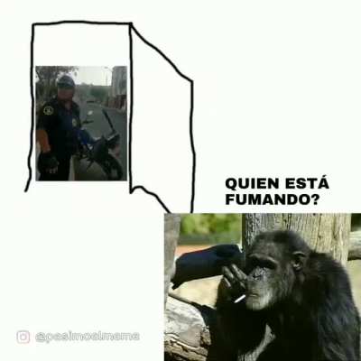 Ta bien webon.