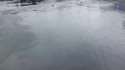The water at this harbor is so deep that even a humpback whale can breach out of it without being noticed beforehand.