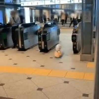 Did I really see that?