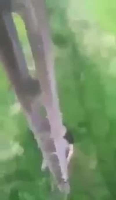 The definition of fuck around and find out ✅