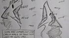 Merp_irl