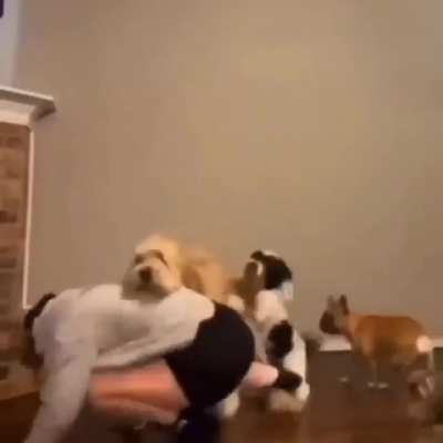 Perreo Intenso