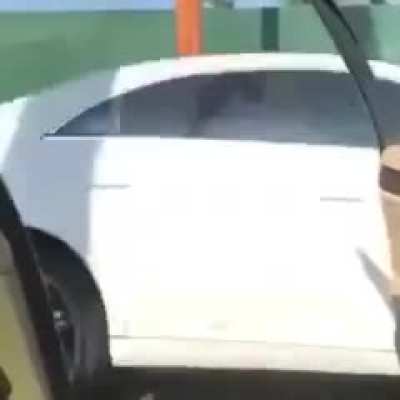 Tiktok darwinism