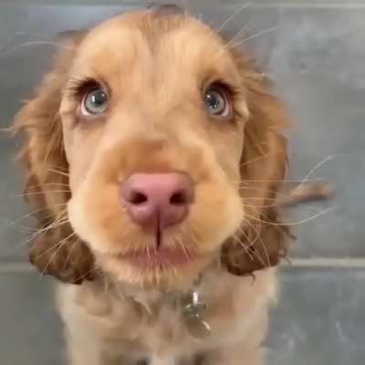 Those eyes 👀