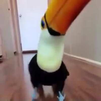çok tattlı