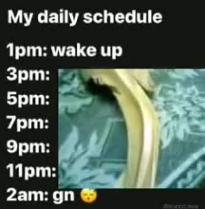 G*y (gay) mods schedule (their g*y)