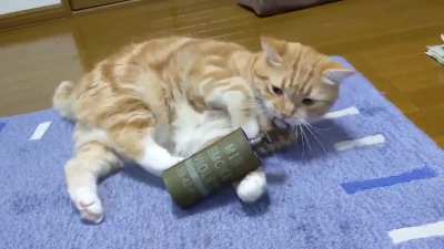 cat pulls grenade pin