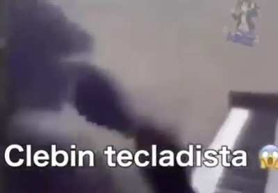 muita habilidade