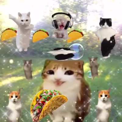 Tacos