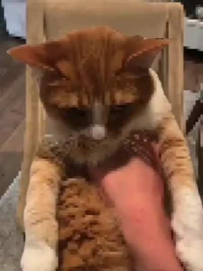 I found this wonderful video on the Postal subreddit.