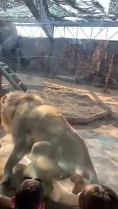 Zoo is educational, isn't it?