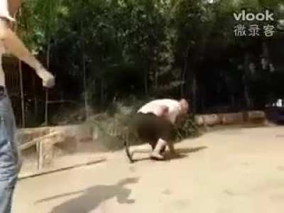 Kung fu