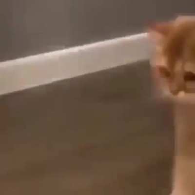 concerned wunk