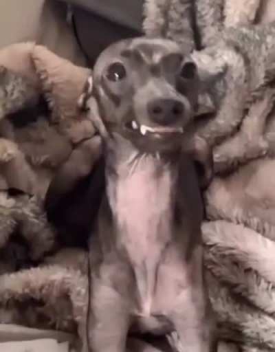 Smile for the camera