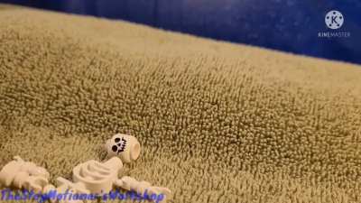 I made this stop motion on the importance of drinking milk.