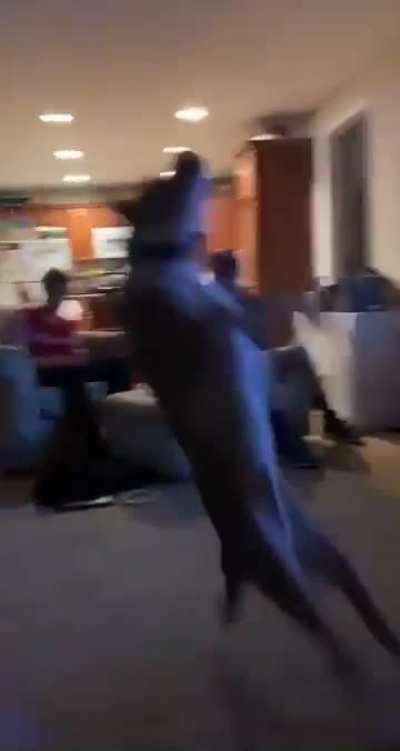 Do A Flip!