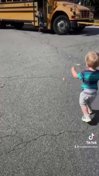 One year in 24 seconds