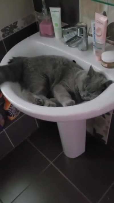 Nice place to sleep, OC
