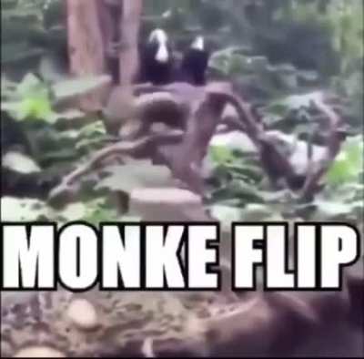Monke