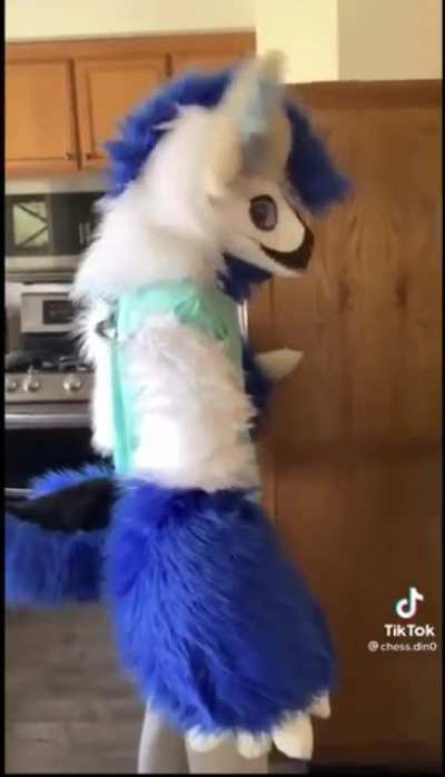 When your pet has higher IQ... and does not degrade themselves on the internet...