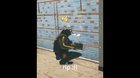 German drug dealer loses his will to live