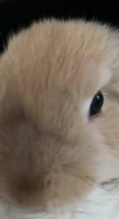 Finally the first flop ever recorded on camera 😭🥹
