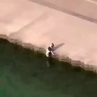 Super Human